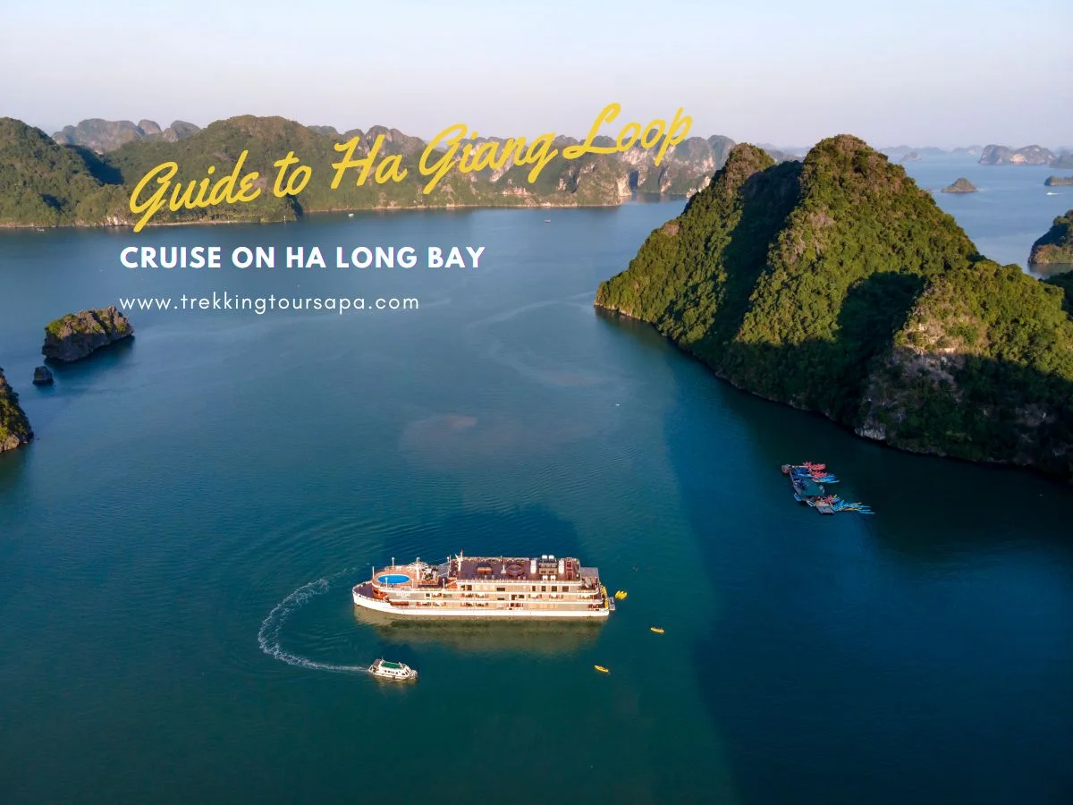 cruise on ha long bay