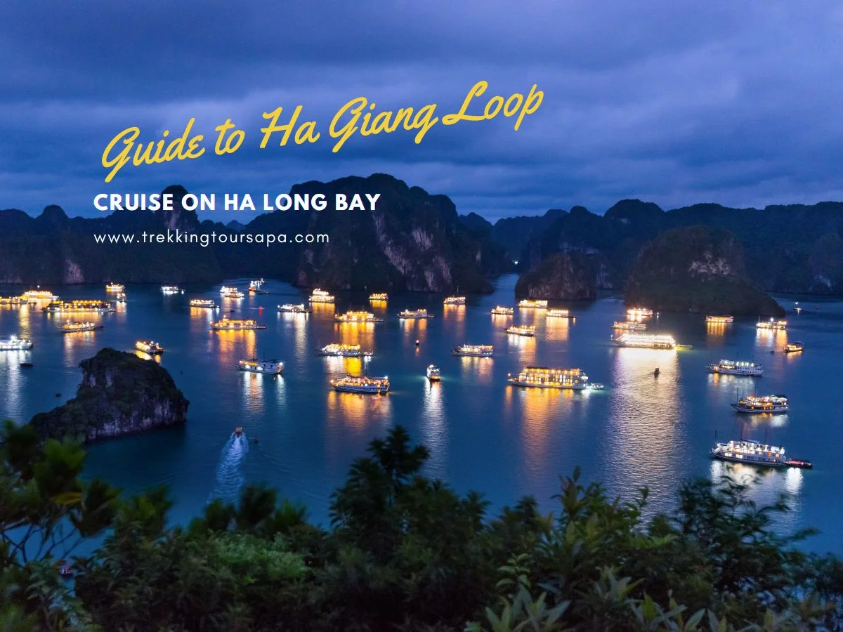 cruise on ha long bay