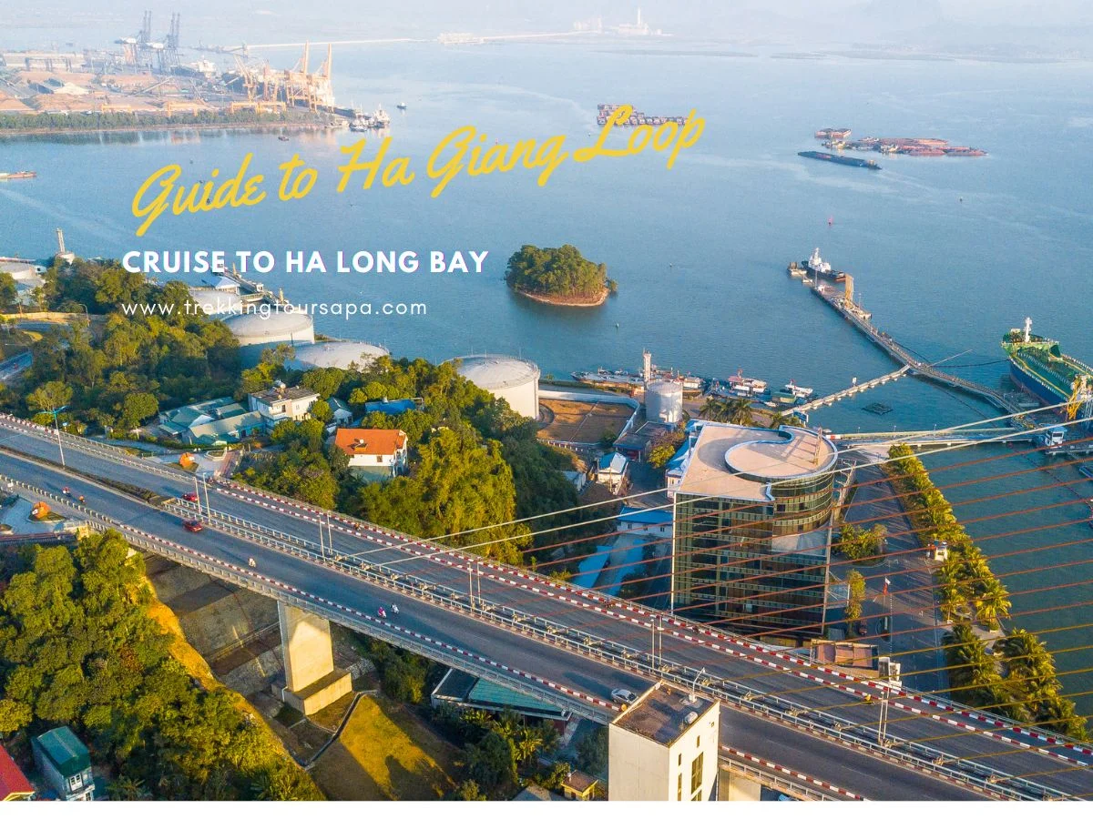 cruise to ha long bay