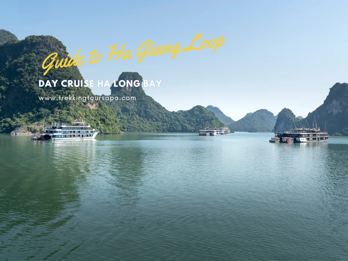 day cruise ha long bay