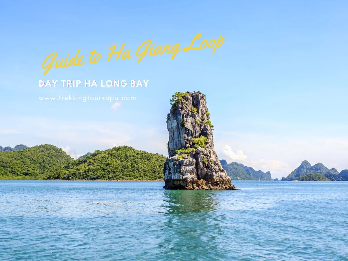 day trip ha long bay