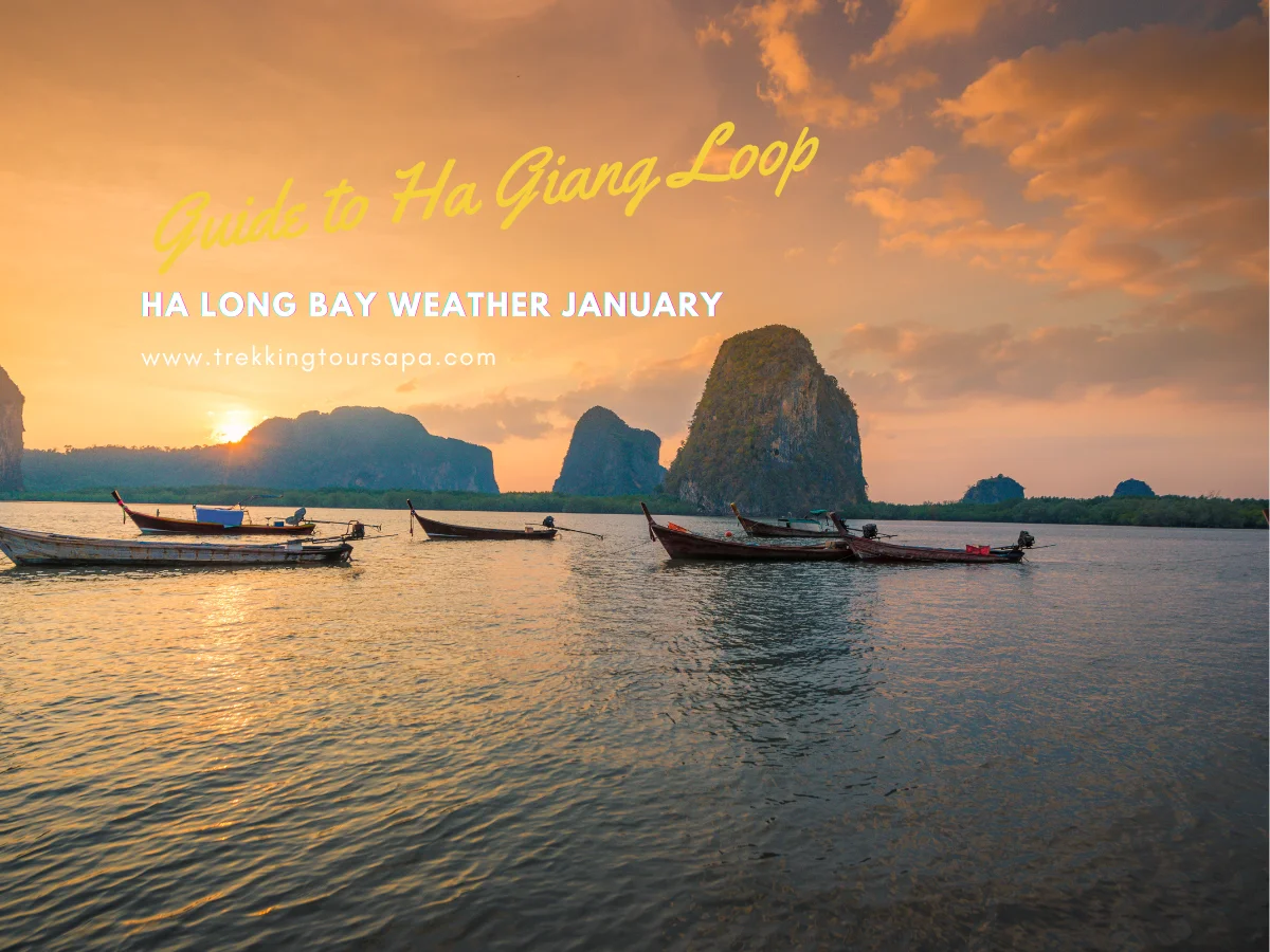 ha ha long bay weather januarybay cruise price