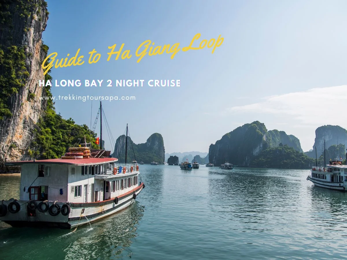 ha long bay 2 night cruise