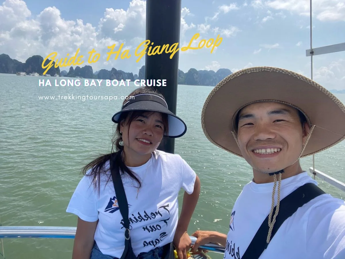 ha long bay boat cruise