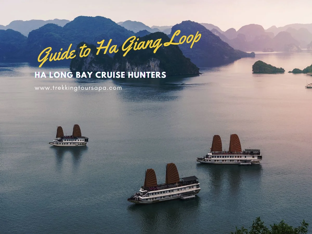 ha long bay cruise hunters