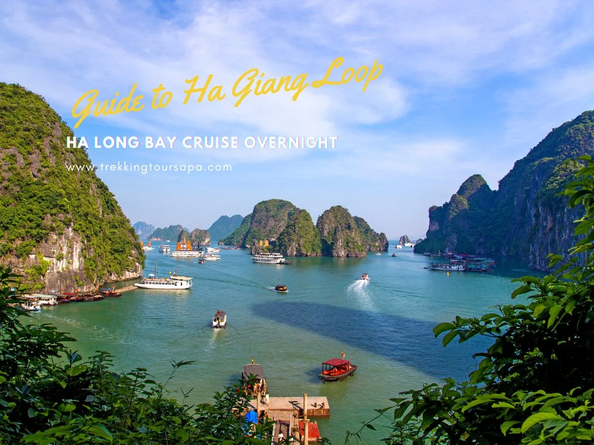 ha long bay cruise overnight