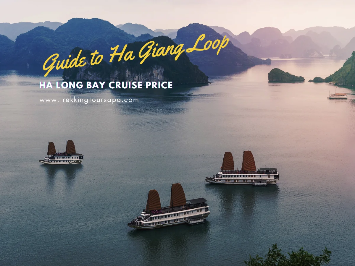 ha long bay cruise price