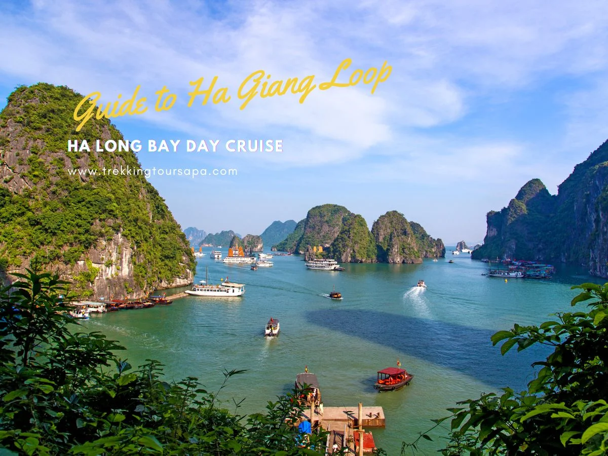 ha long bay day cruise