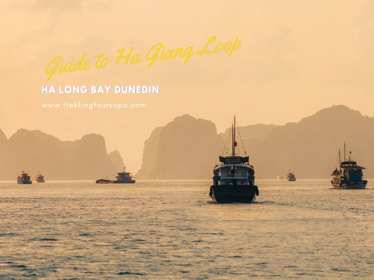 ha long bay dunedin