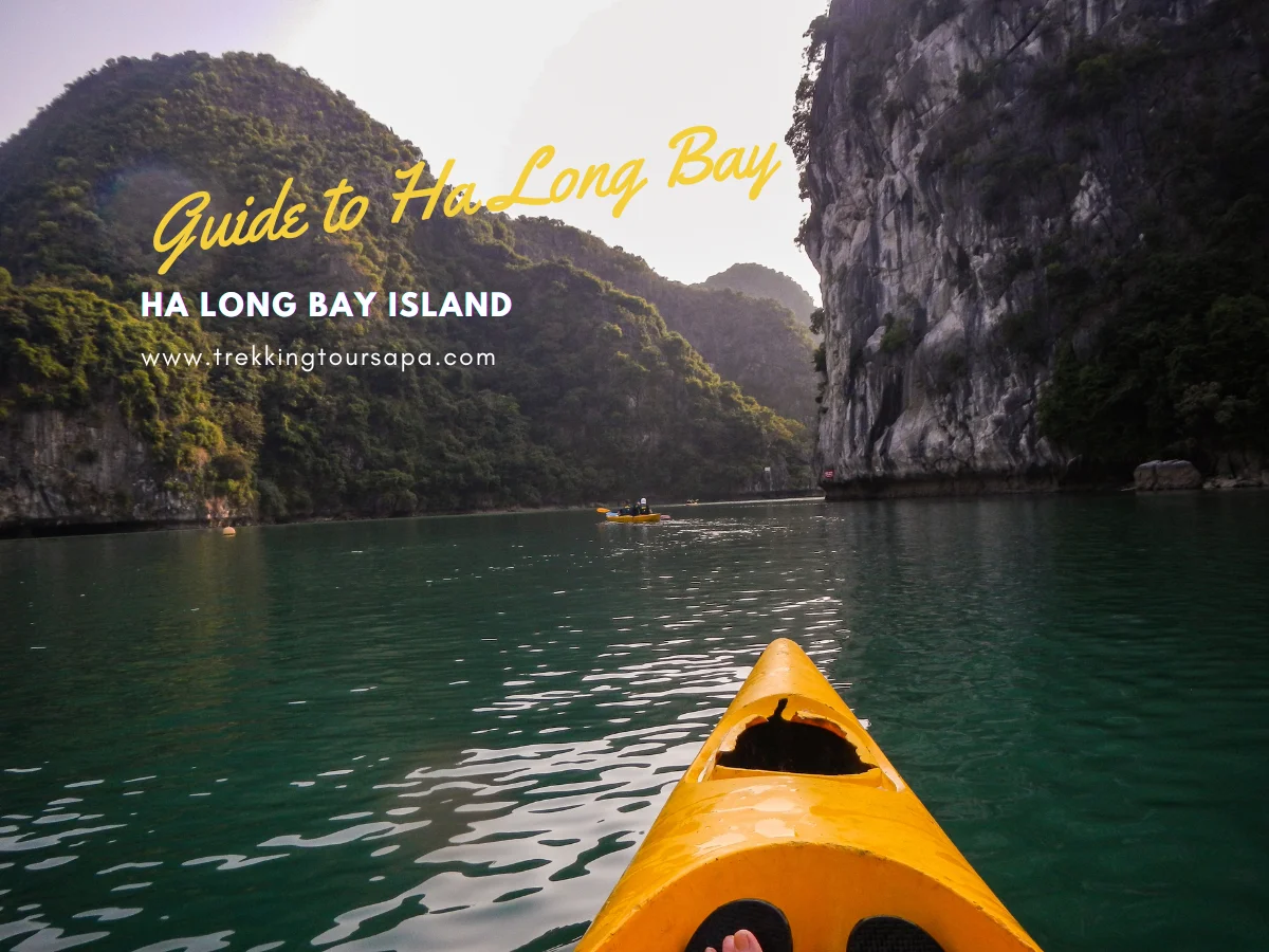 ha long bay island