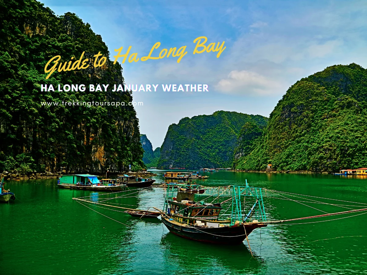 ha long bay january weather