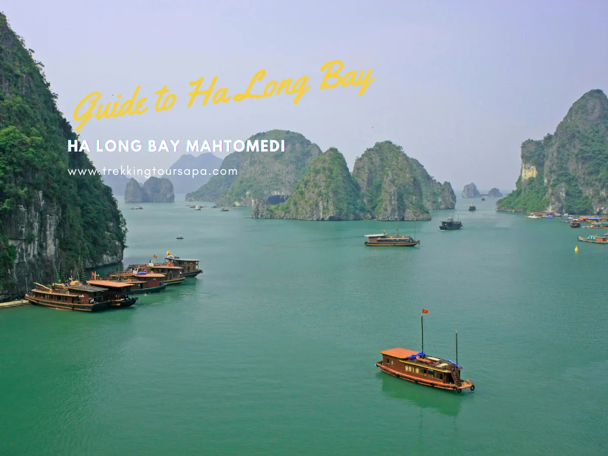 ha long bay mahtomedi