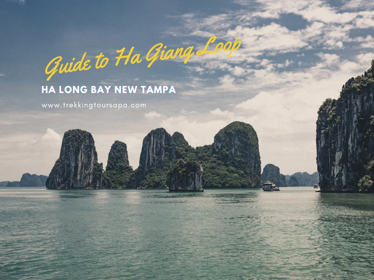 ha long bay new tampa