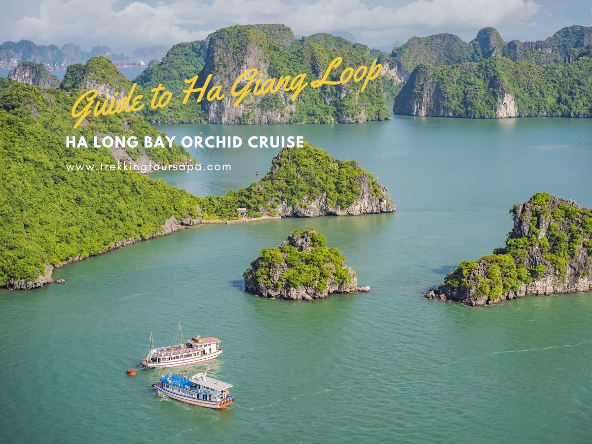 ha long bay orchid cruise