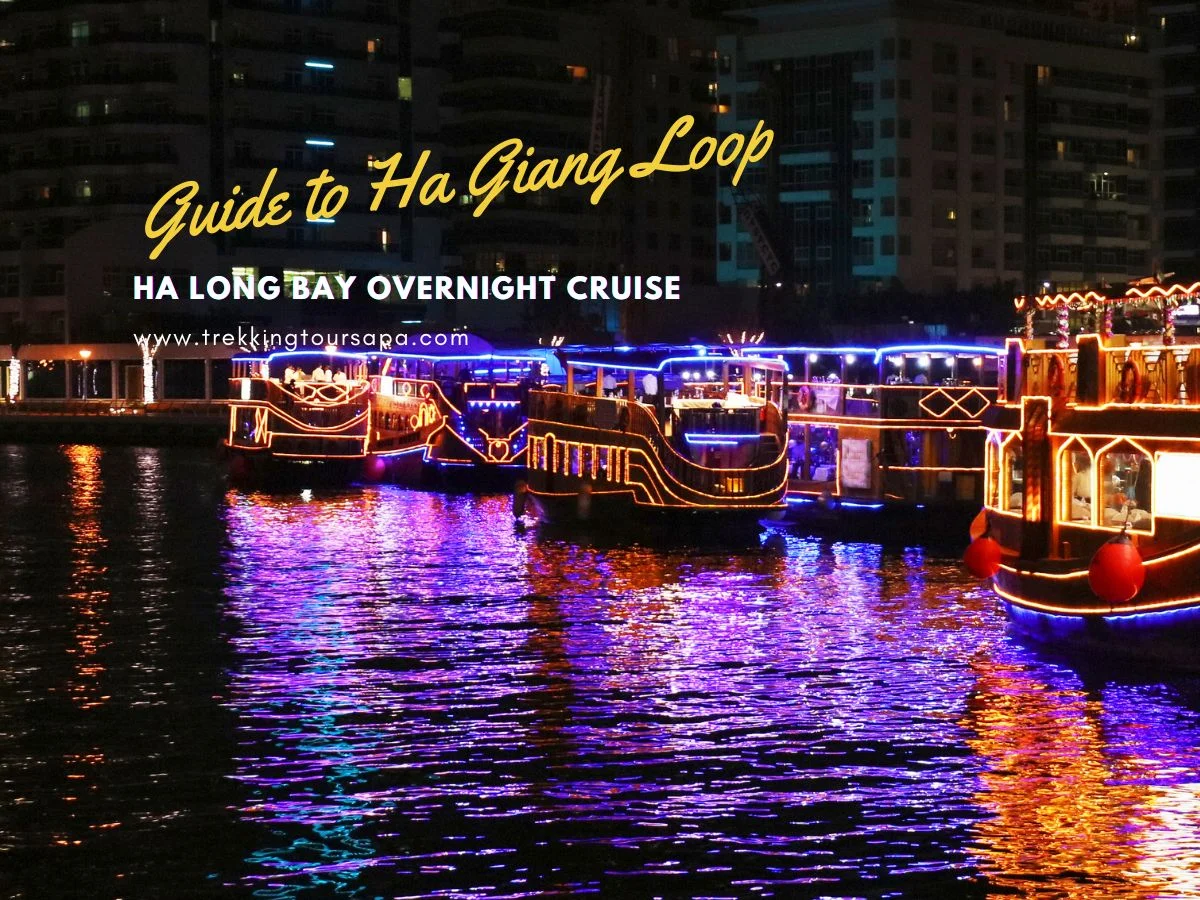 ha long bay overnight cruise