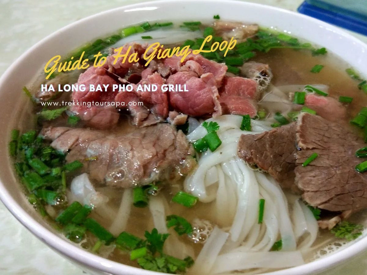 ha long bay pho and grill