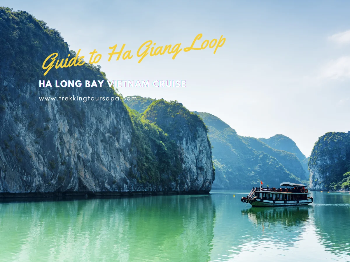 ha long bay vietnam cruise