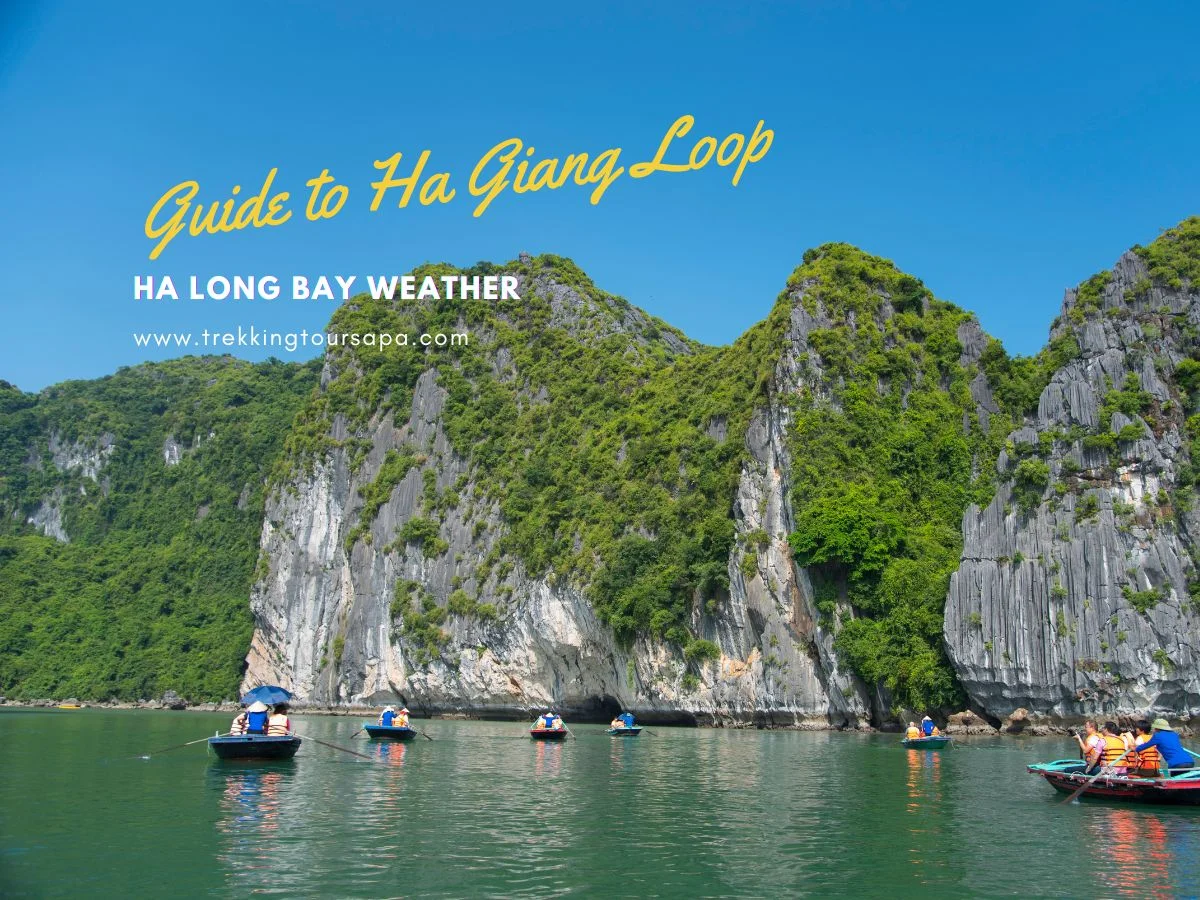 ha long bay weather