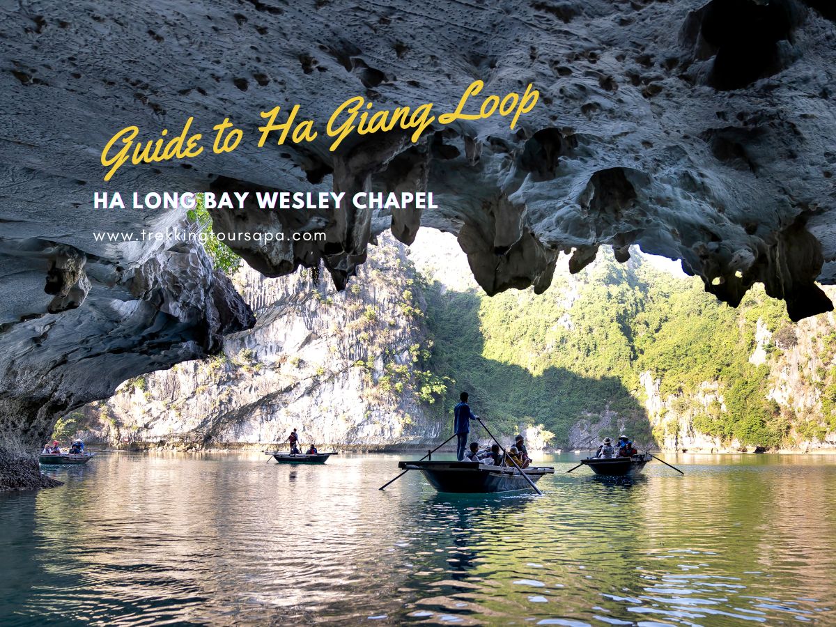 ha long bay wesley chapel