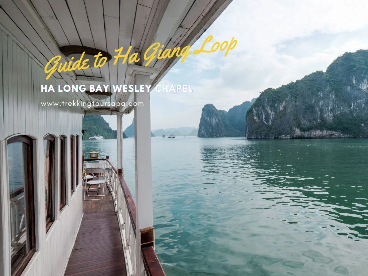 ha long bay wesley chapel