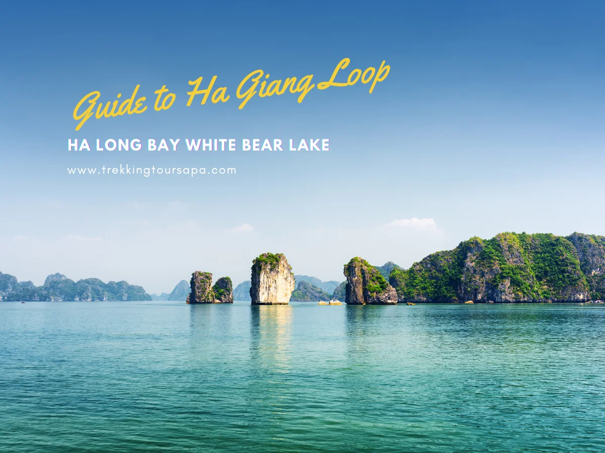 ha long bay white bear lake