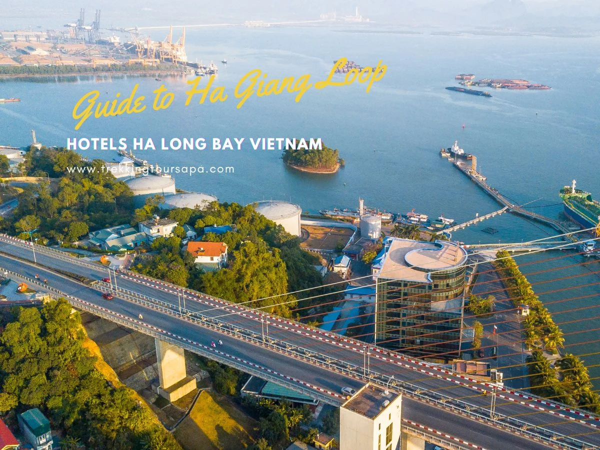 hotels ha long bay vietnam