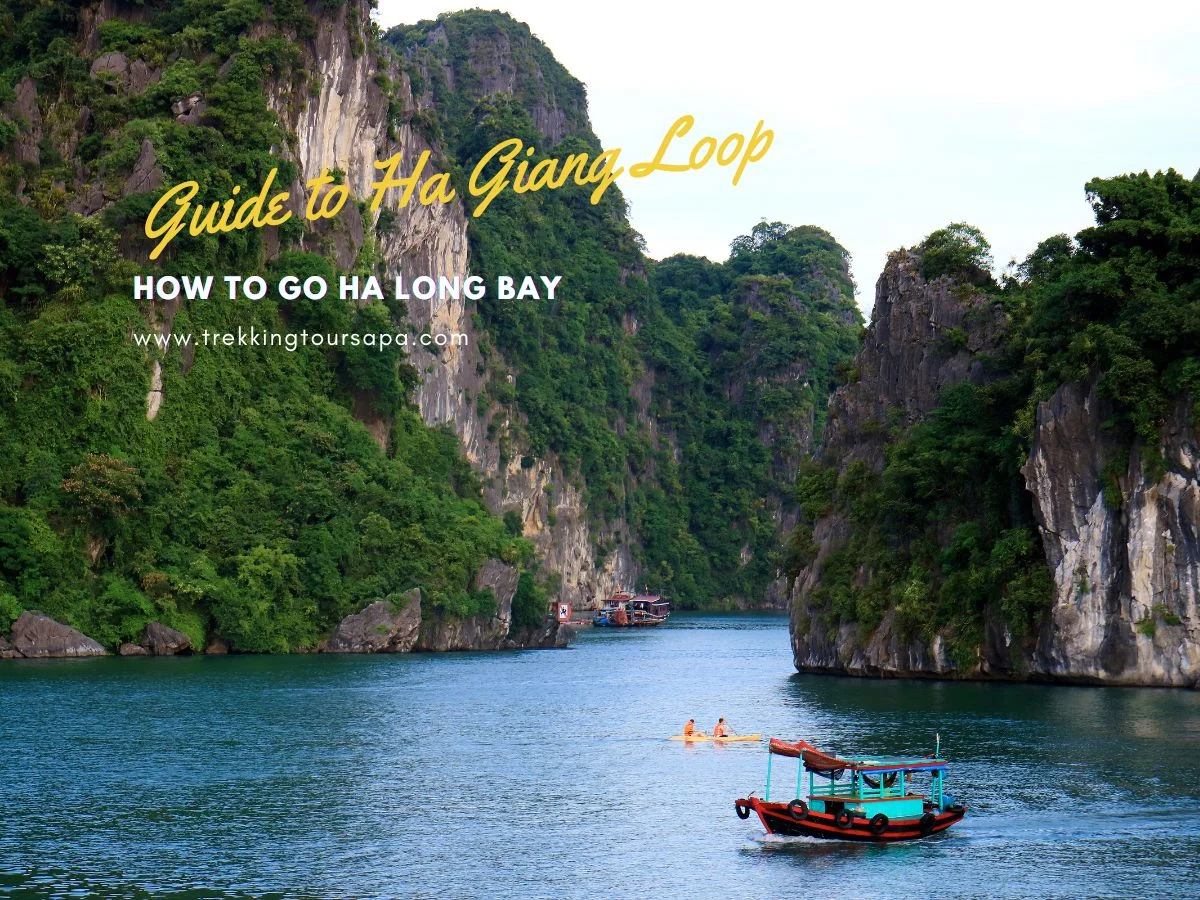 how to go ha long bay