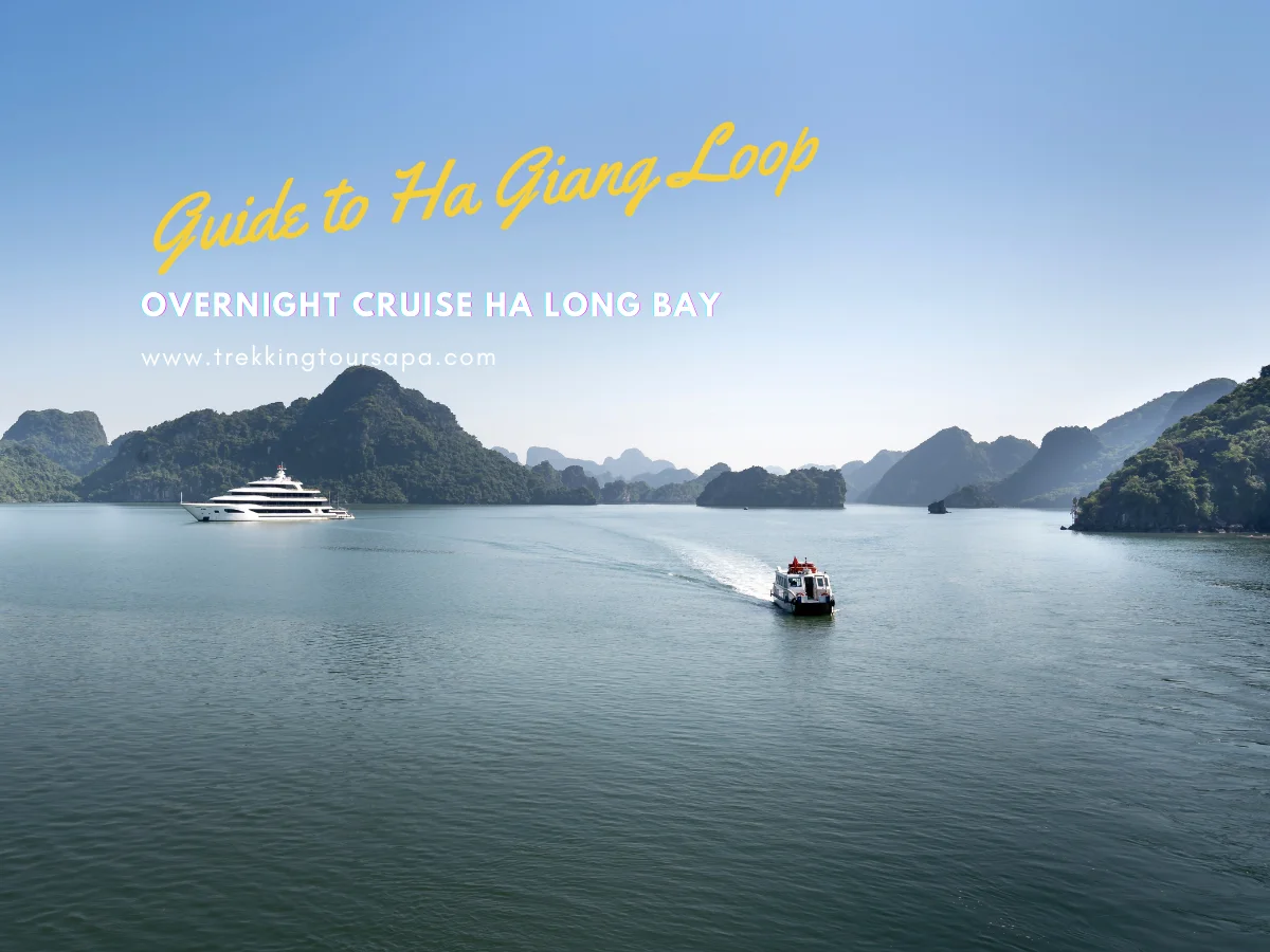 overnight cruise ha long bay