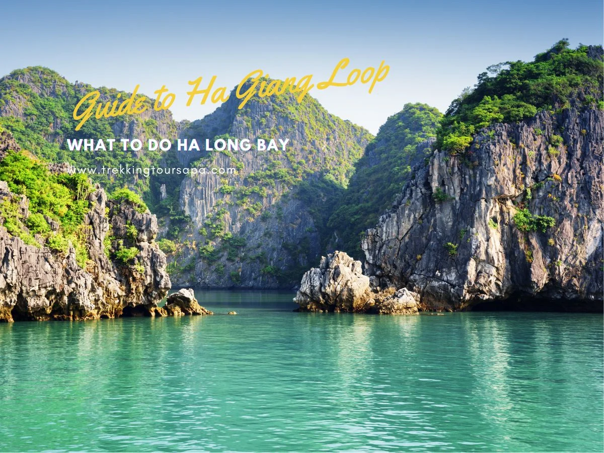 what to do ha long bay