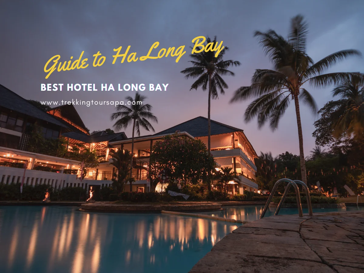 best hotel ha long bay