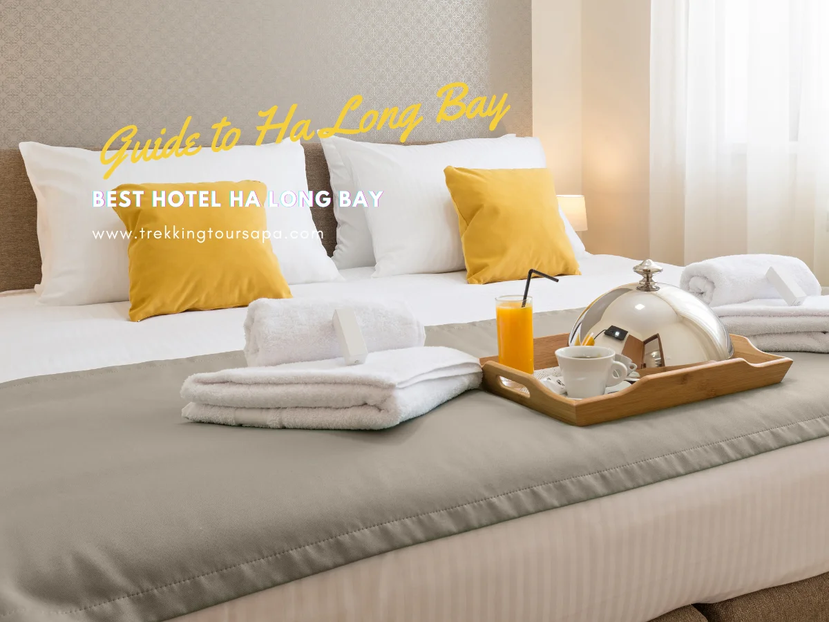 best hotel ha long bay