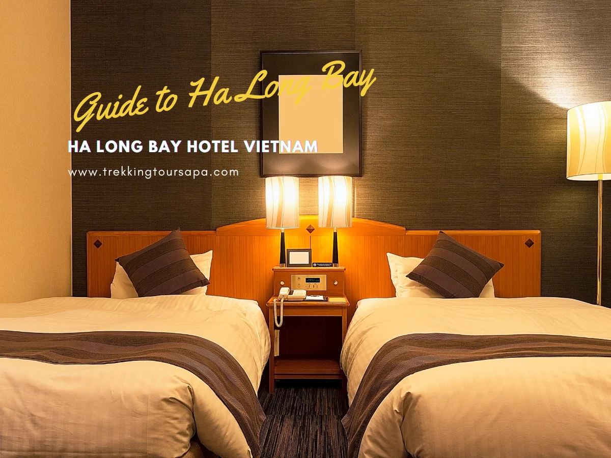 ha long bay hotel vietnam