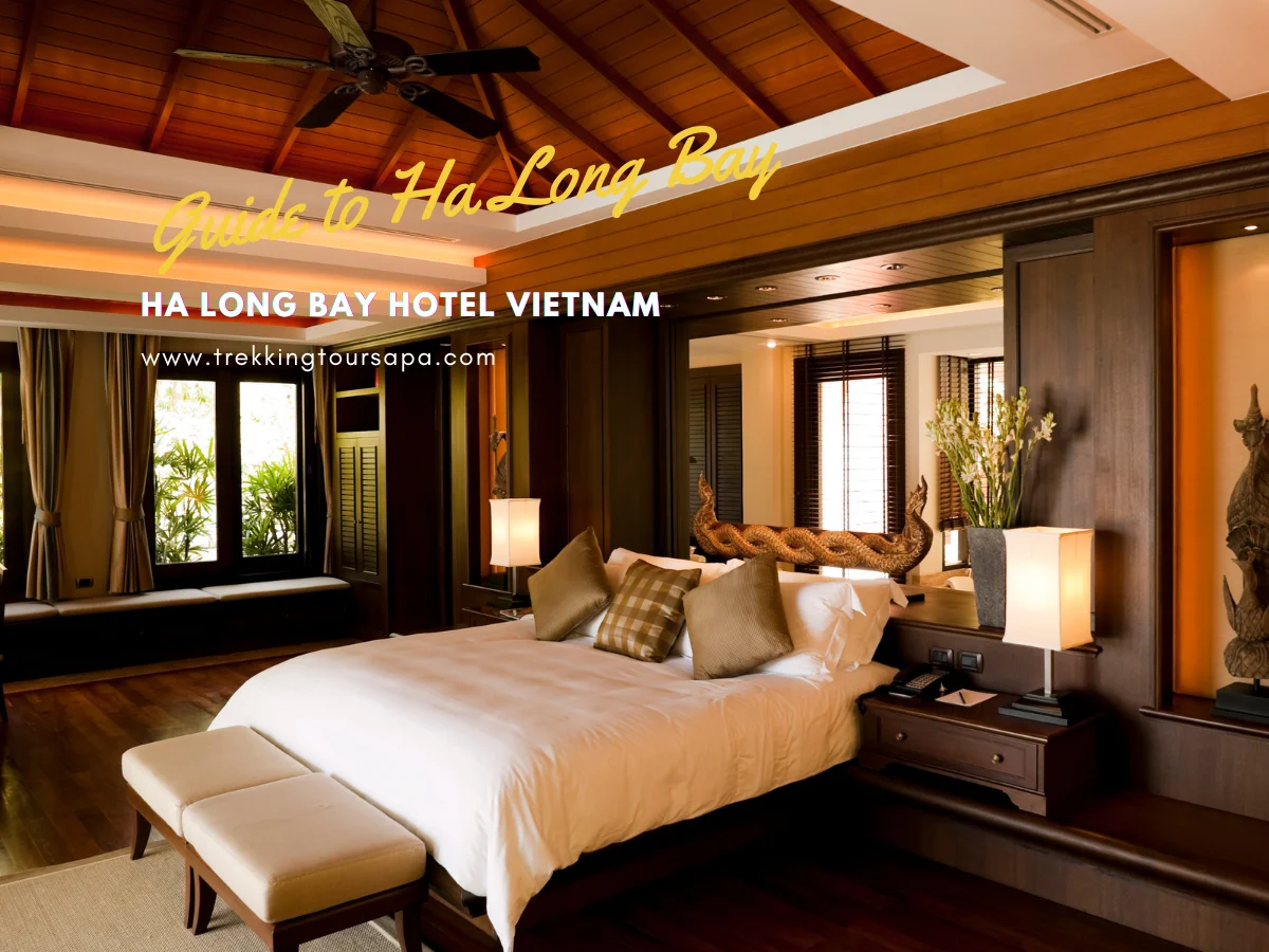 ha long bay hotel vietnam