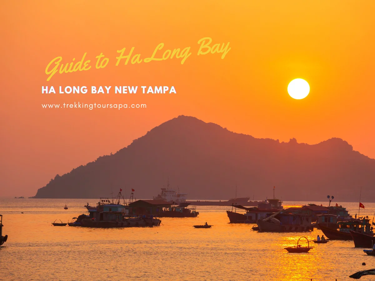 ha long bay new tampa