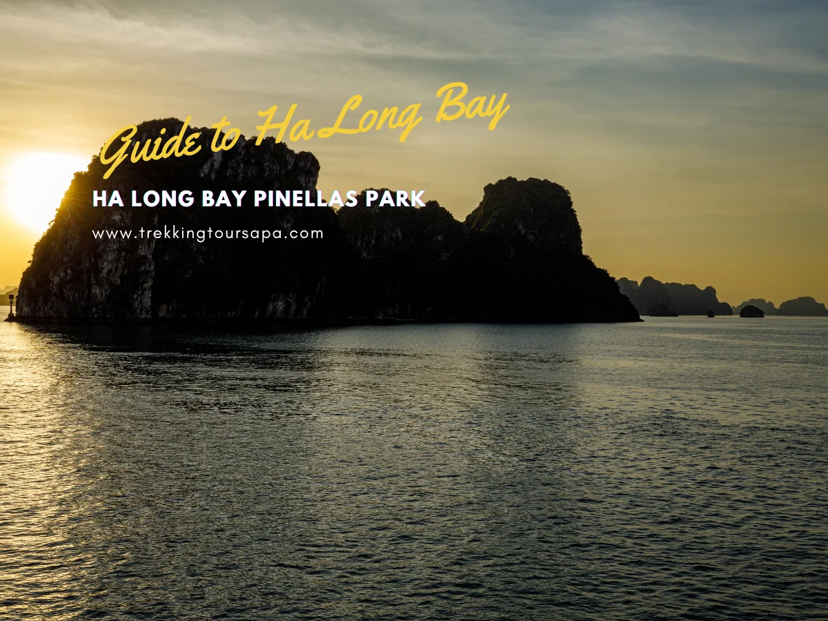 ha long bay pinellas park