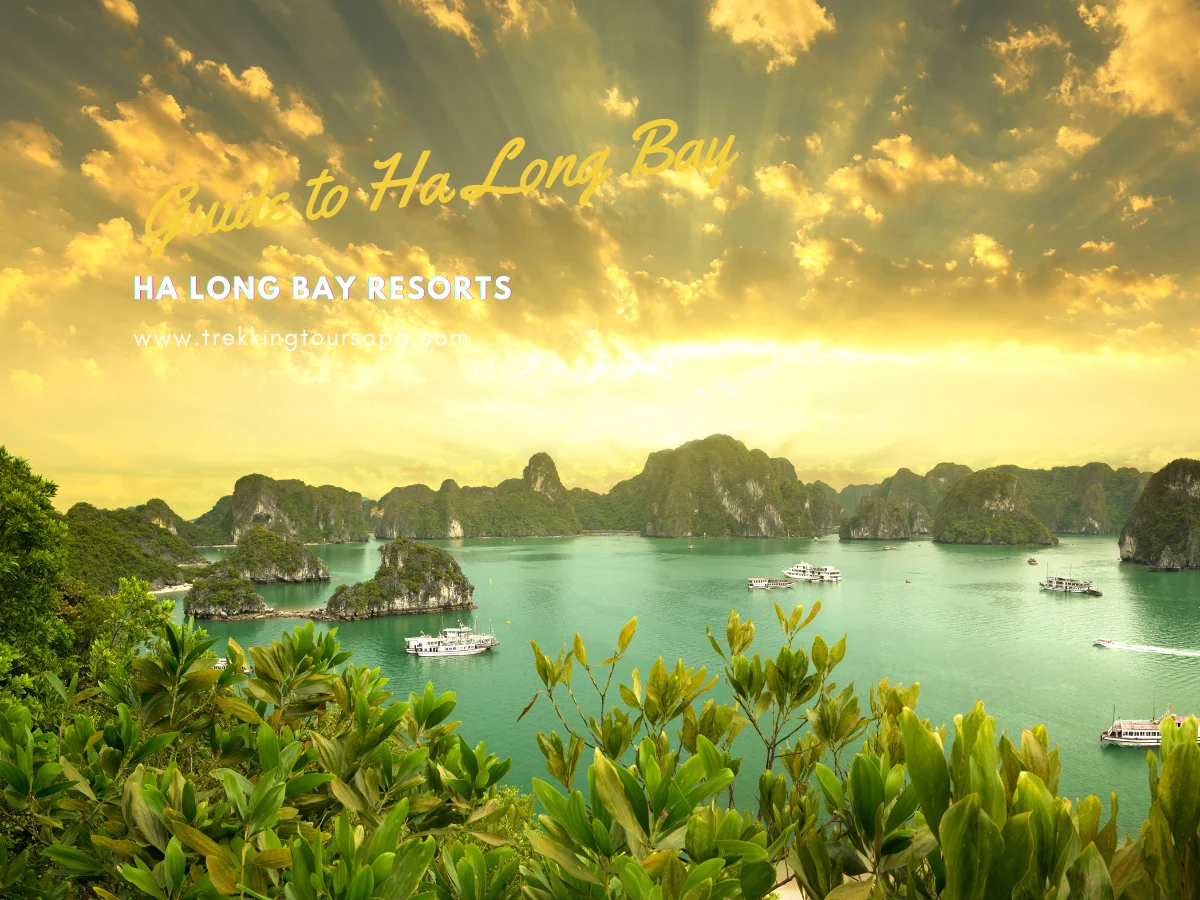Ha Long Bay Resorts