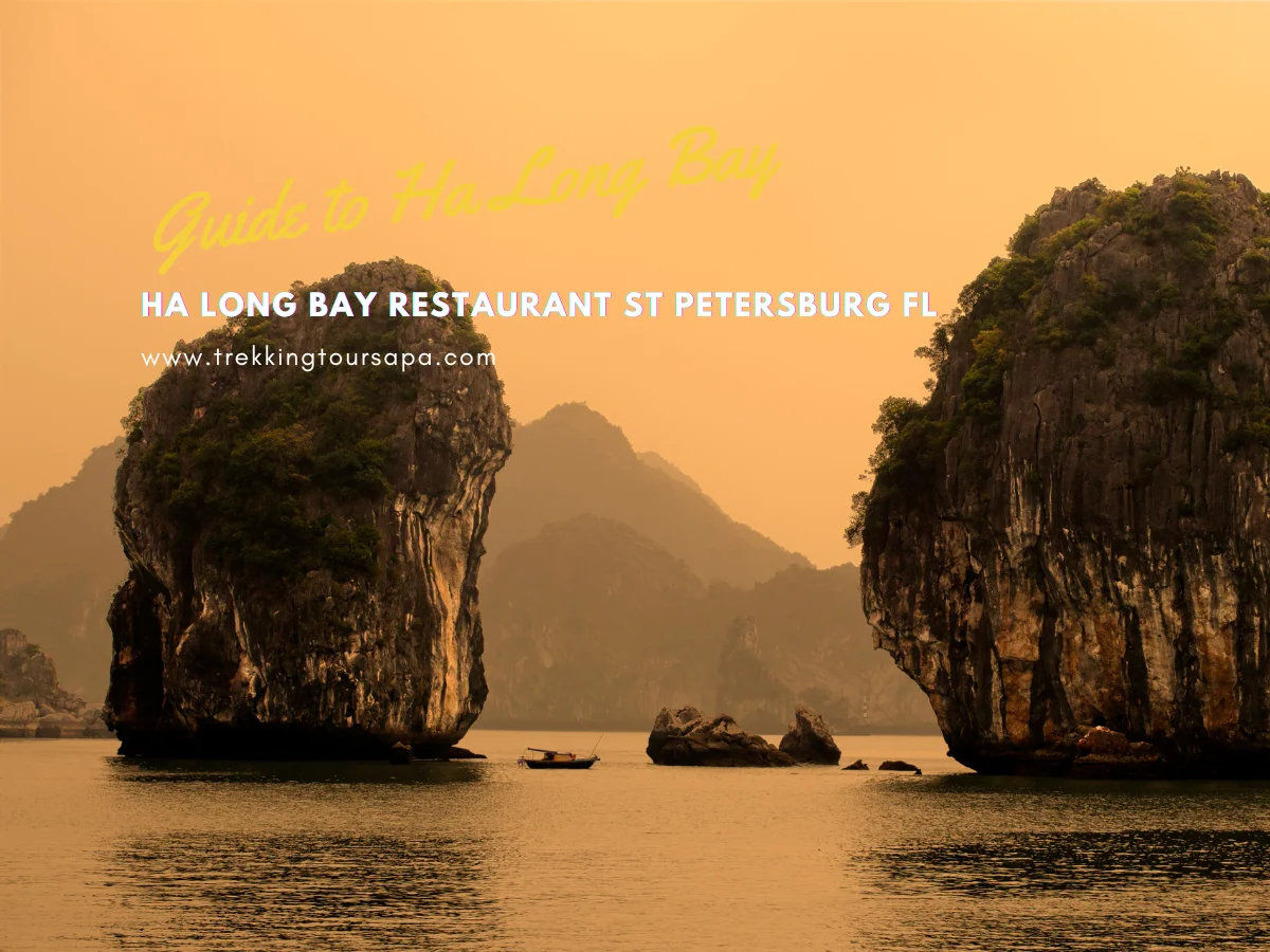 ha long bay restaurant st petersburg fl