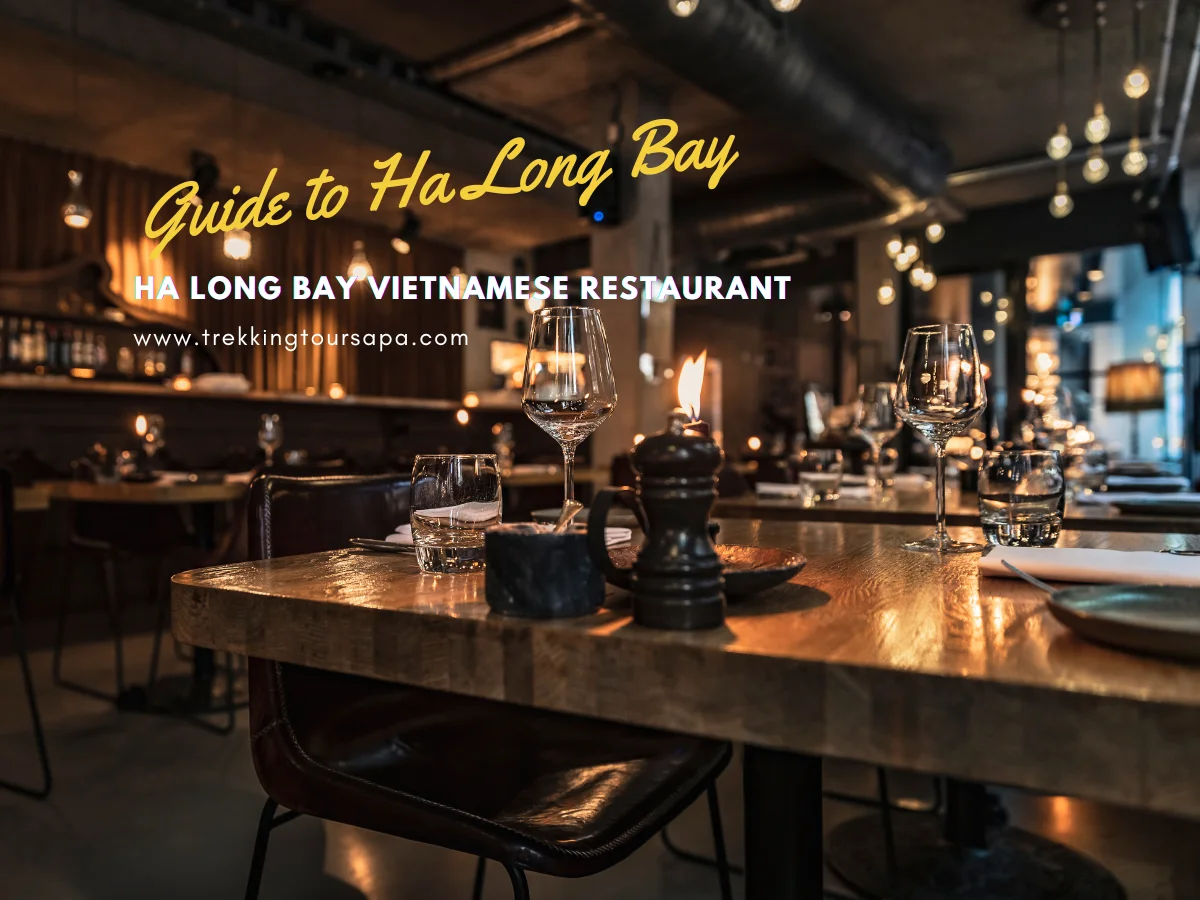 ha long bay vietnamese restaurant