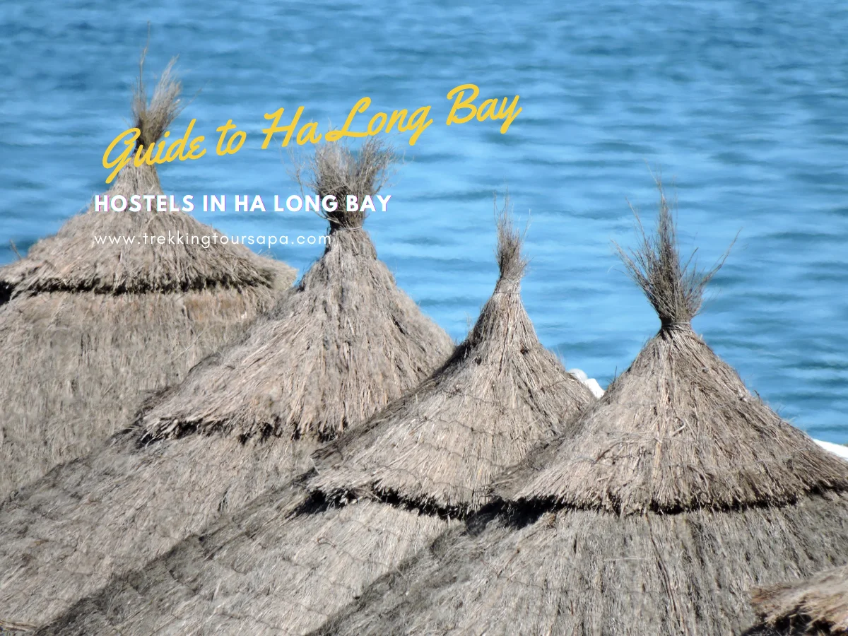 hostels in ha long bay