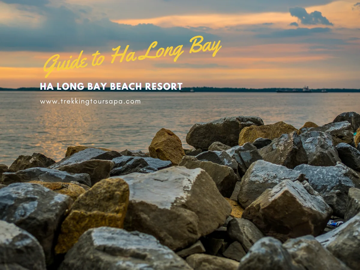 ha long bay beach resort