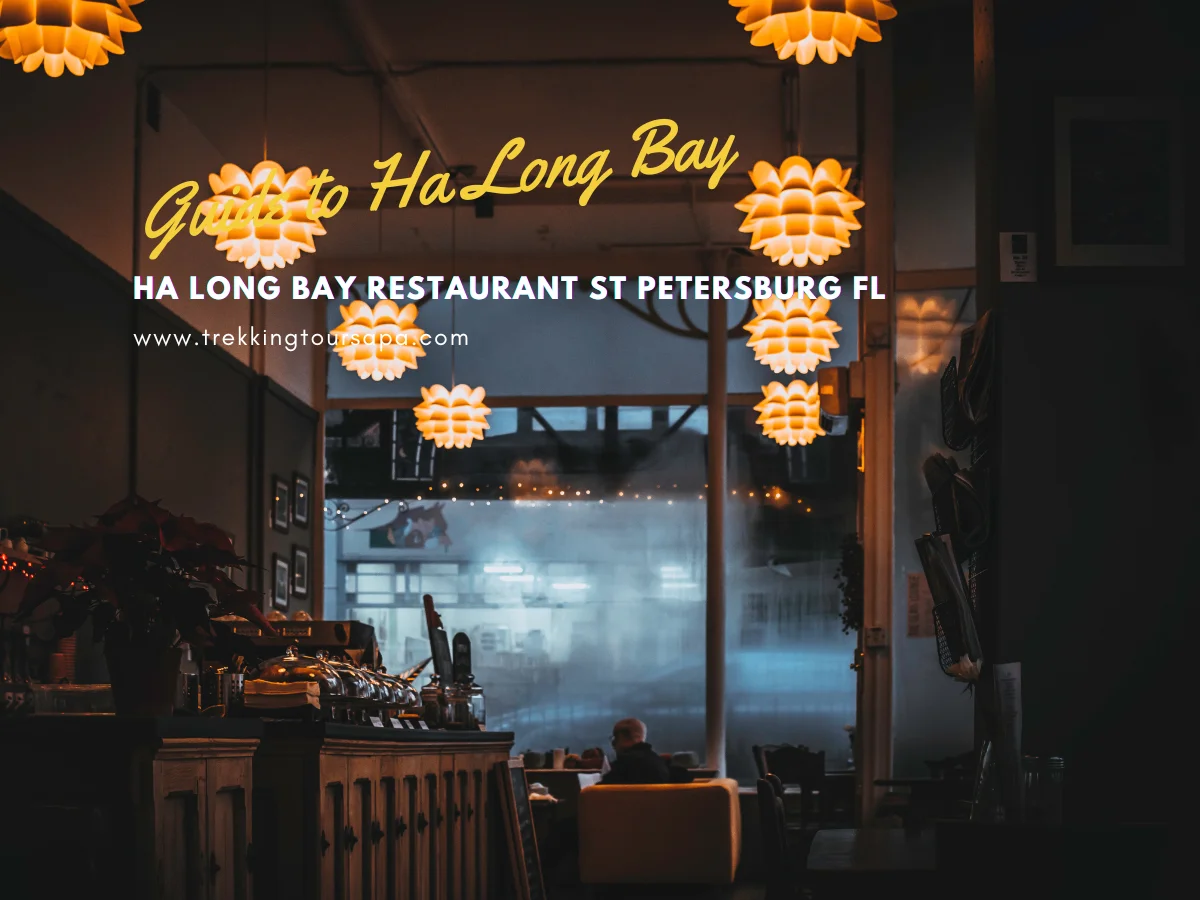 ha long bay restaurant st petersburg fl