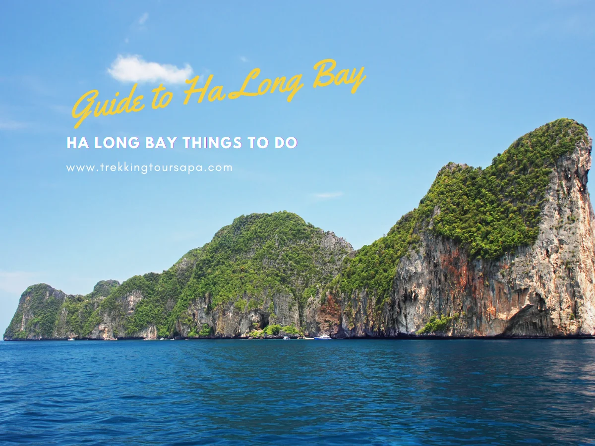Ha Long Bay Things To Do