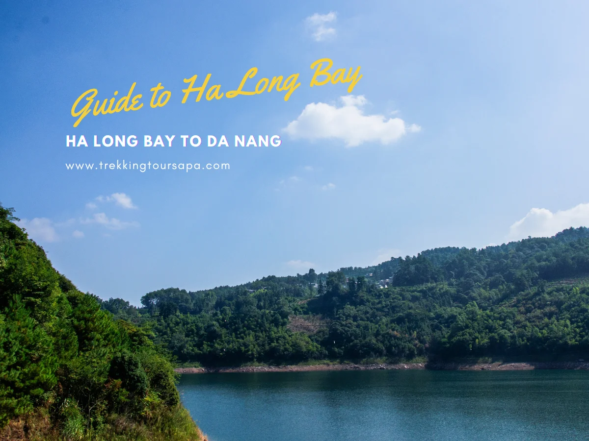 ha long bay to da nang