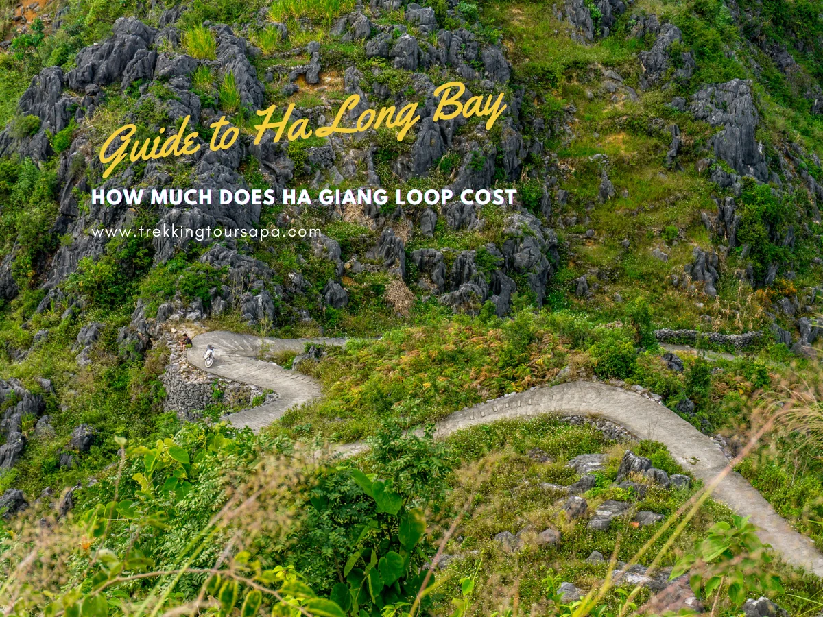 how much does ha giang loop cost