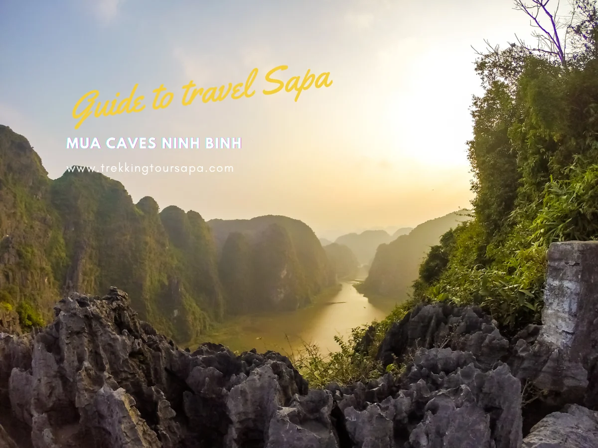 Explore Mua Caves Ninh Binh's Natural Beauty