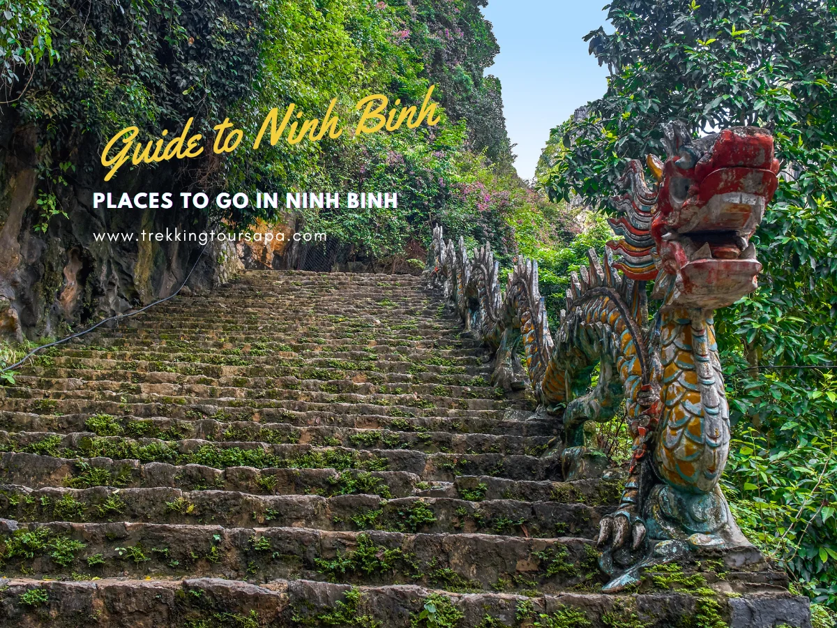 places to go in ninh binh