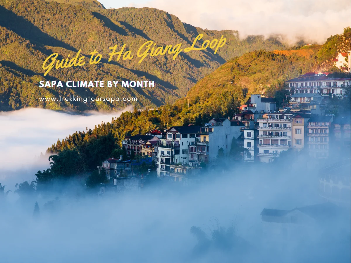 sapa climate by month