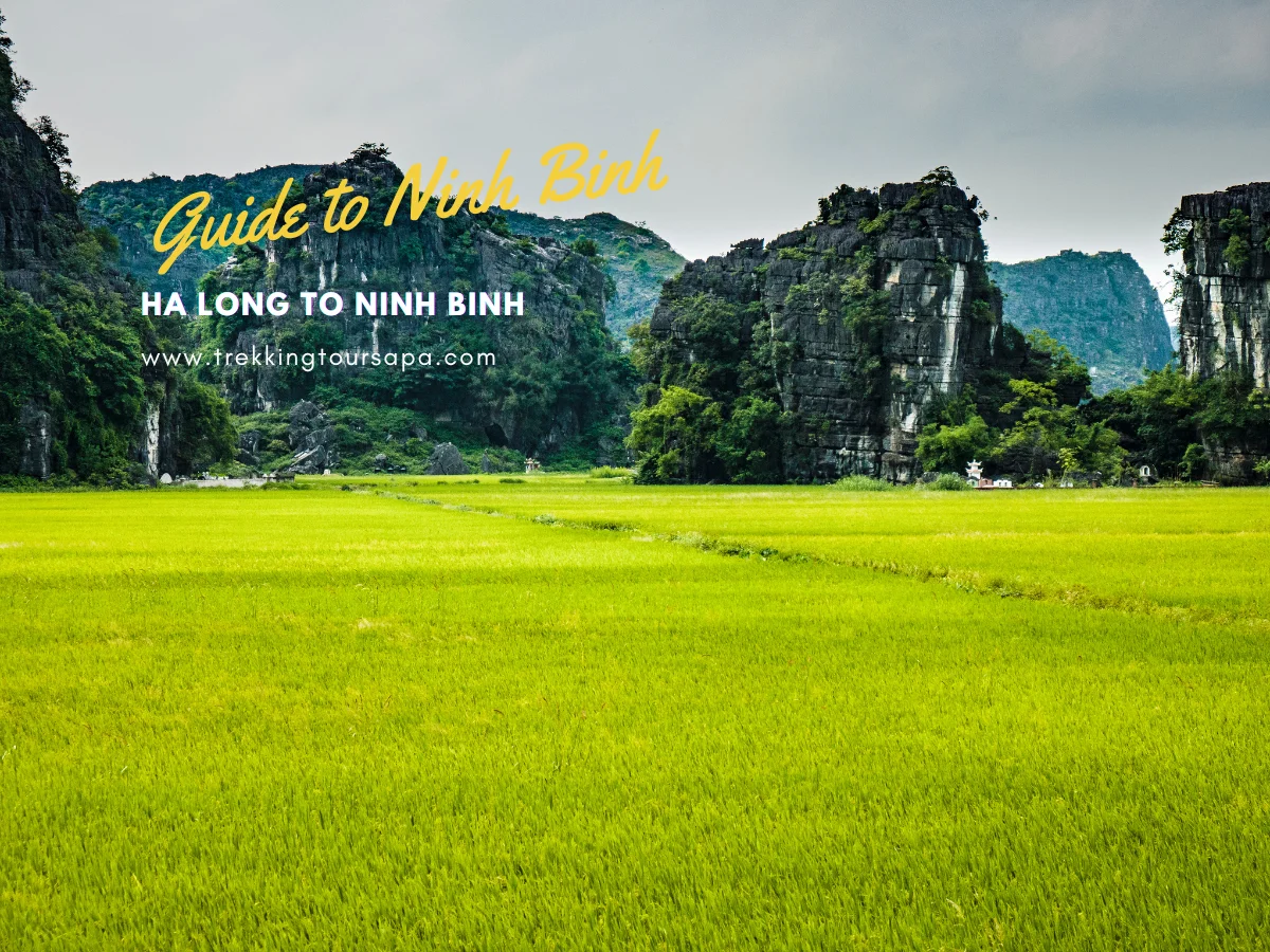 Ha Long To Ninh Binh