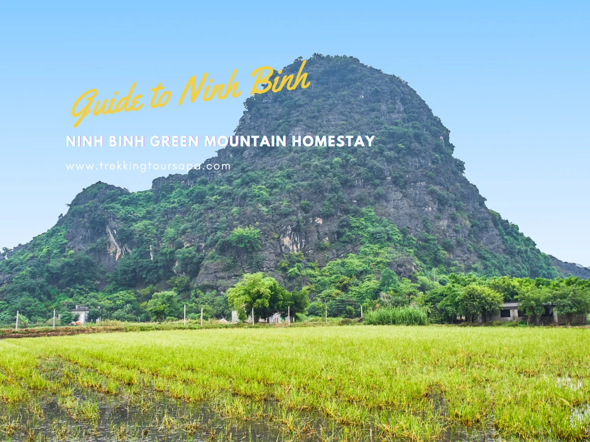 Ninh Binh Green Mountain Homestay
