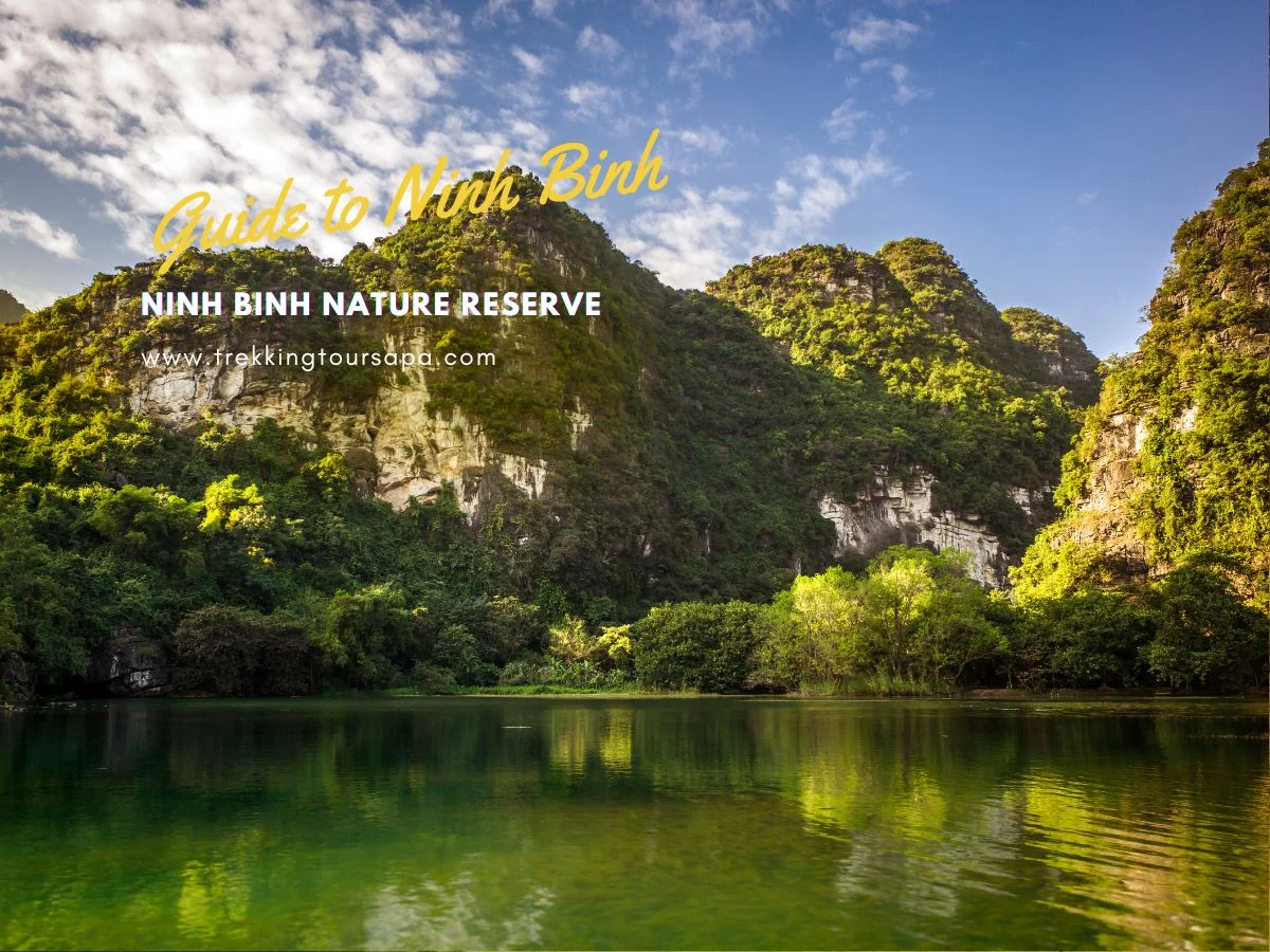 Explore Ninh Binh Nature Reserve, Vietnam